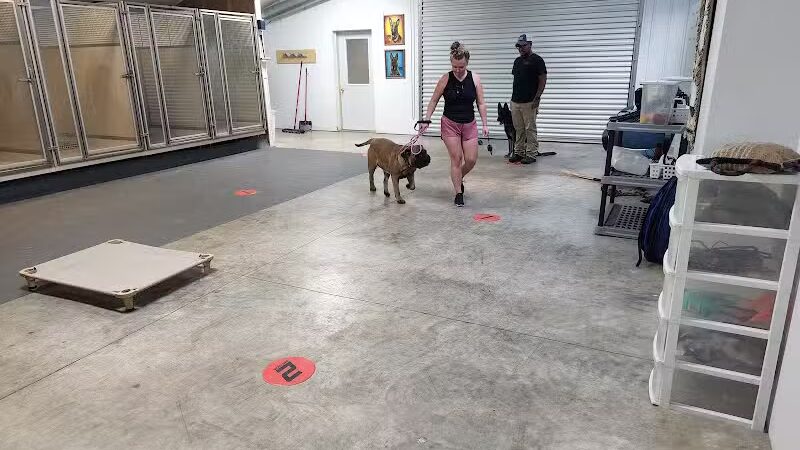 K9 Solutions Center - New Carlisle, OH
