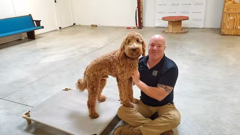 K9 Solutions Center - New Carlisle, OH