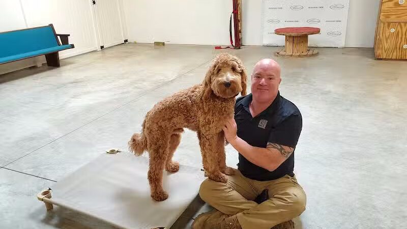 K9 Solutions Center - New Carlisle, OH