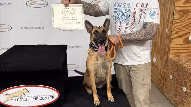 K9 Solutions Center - New Carlisle, OH