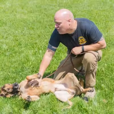 K9 Solutions Center - New Carlisle, OH