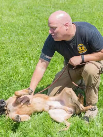 K9 Solutions Center - New Carlisle, OH