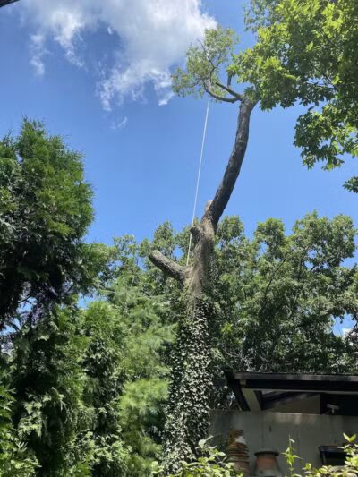 Smith Park - New Carlisle, OH