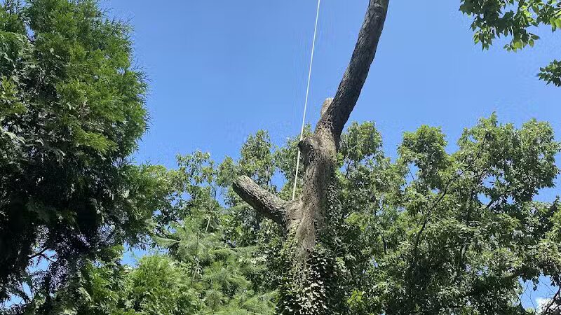 Smith Park - New Carlisle, OH