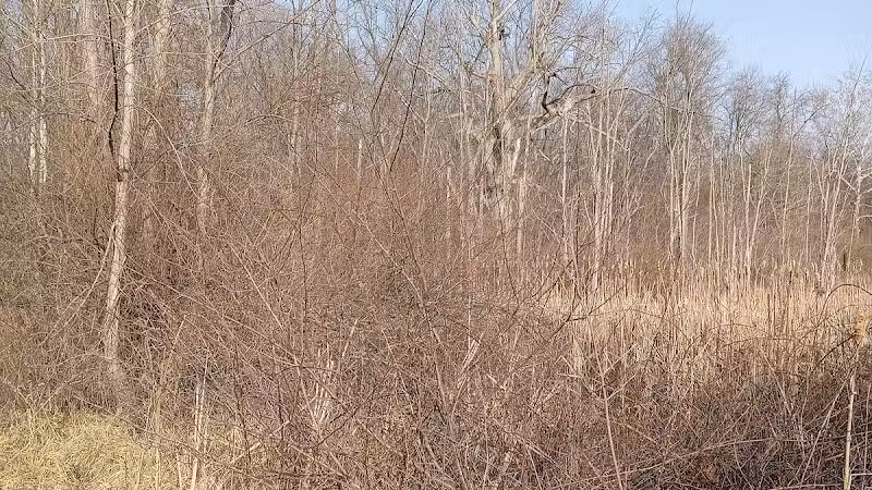 Smith Park - New Carlisle, OH