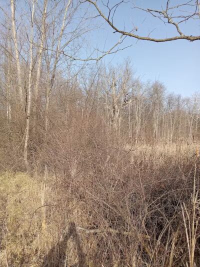 Smith Park - New Carlisle, OH