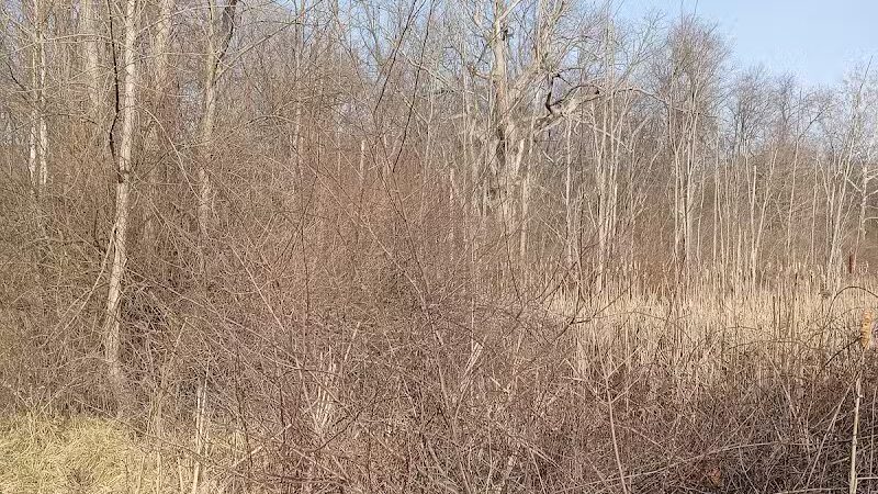 Smith Park - New Carlisle, OH