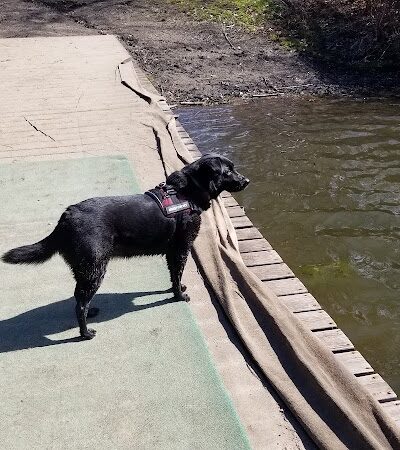 Portage Lakes Dog Park - New Franklin, OH