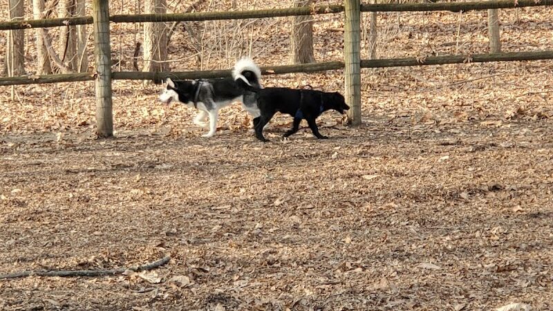 Portage Lakes Dog Park - New Franklin, OH