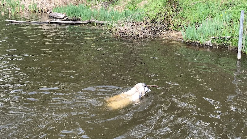 Portage Lakes Dog Park - New Franklin, OH