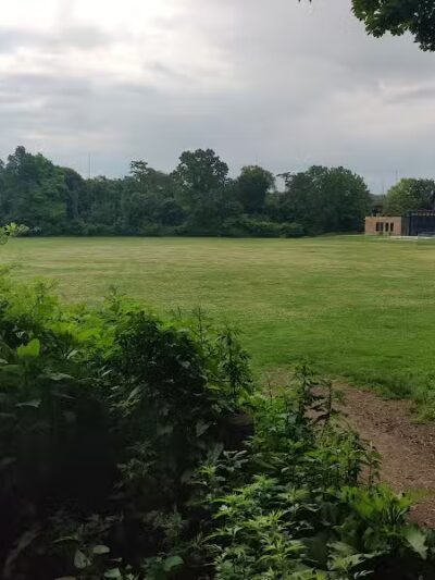 East Rock Dog Park - New Haven, CT