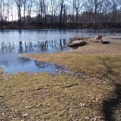 Edgewood Park Dog Park - New Haven, CT