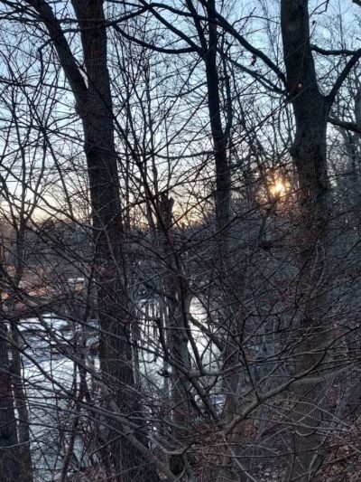 Edgewood Park Dog Park - New Haven, CT