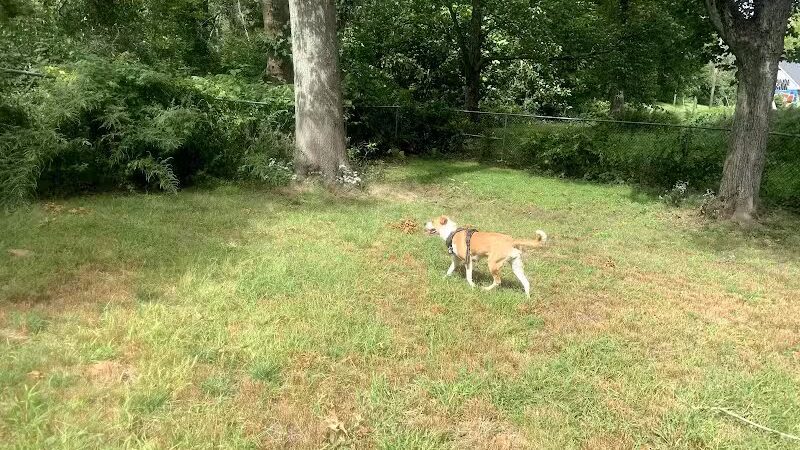 Edgewood Park Dog Park - New Haven, CT