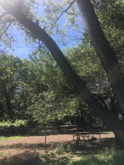 Edgewood Park Dog Park - New Haven, CT