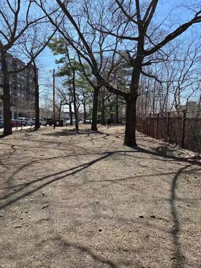 Union Street Dog Park - New Haven, CT