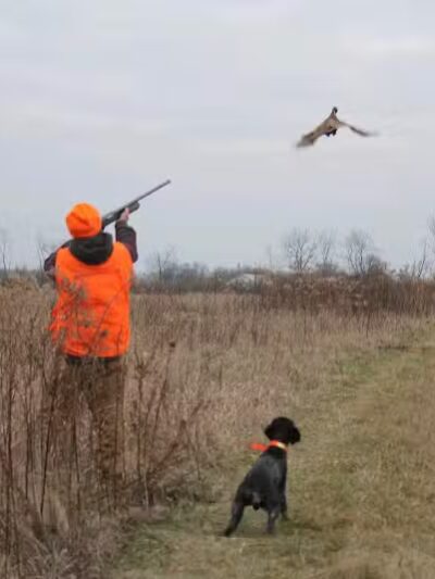 Buckeye Pheasant Hunting Preserve - New Lebanon, OH
