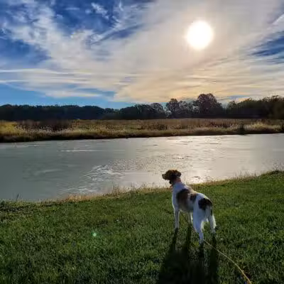 Buckeye Pheasant Hunting Preserve - New Lebanon, OH