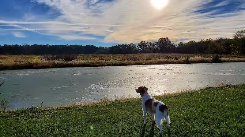 Buckeye Pheasant Hunting Preserve - New Lebanon, OH