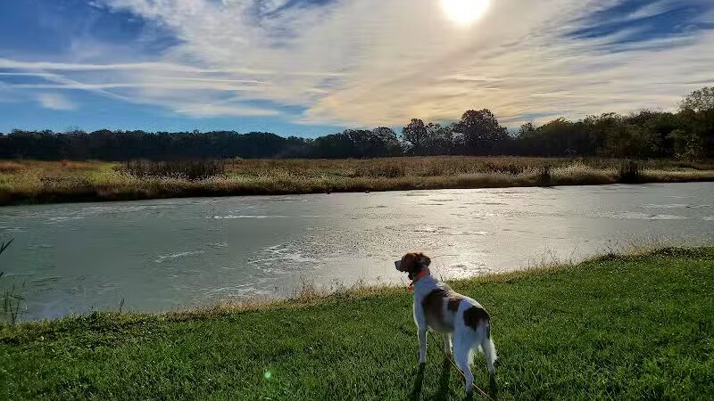 Buckeye Pheasant Hunting Preserve - New Lebanon, OH