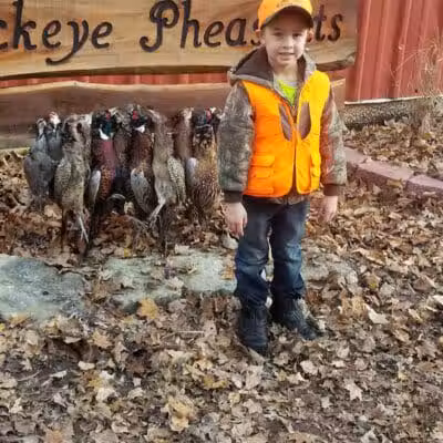 Buckeye Pheasant Hunting Preserve - New Lebanon, OH
