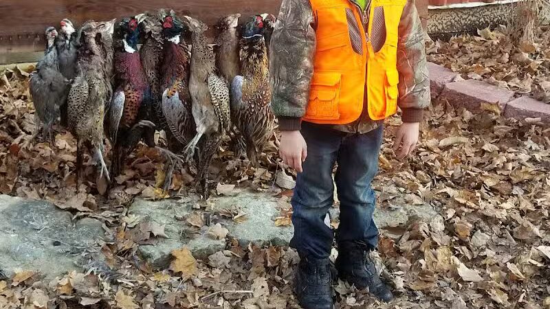 Buckeye Pheasant Hunting Preserve - New Lebanon, OH