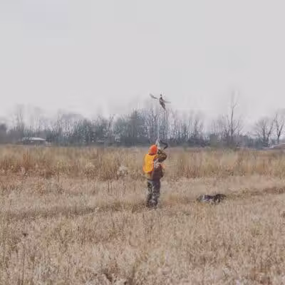 Buckeye Pheasant Hunting Preserve - New Lebanon, OH