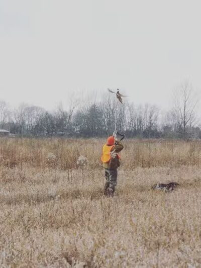 Buckeye Pheasant Hunting Preserve - New Lebanon, OH