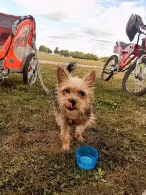 Fuls Park (Don Rusk Park) - New Lebanon, OH