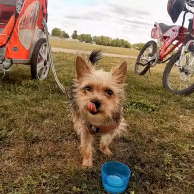 Fuls Park (Don Rusk Park) - New Lebanon, OH