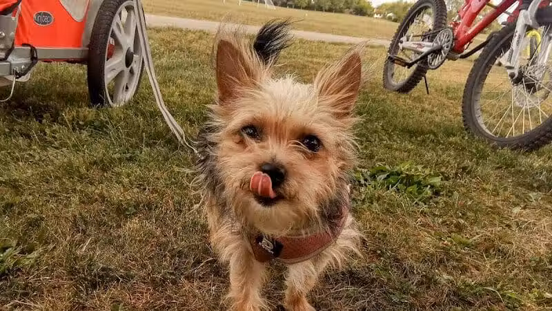 Fuls Park (Don Rusk Park) - New Lebanon, OH