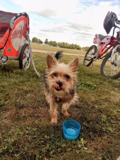 Fuls Park (Don Rusk Park) - New Lebanon, OH
