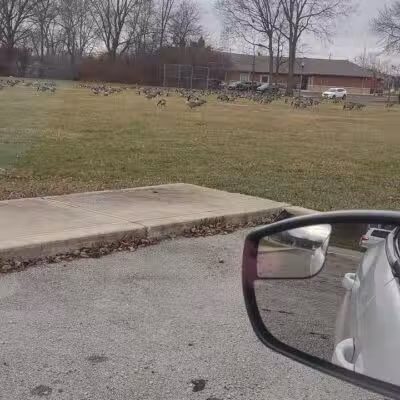 Stanley Jones Park - New Lebanon, OH