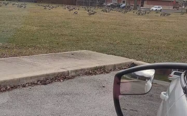 Stanley Jones Park - New Lebanon, OH