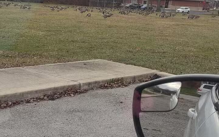 Stanley Jones Park - New Lebanon, OH