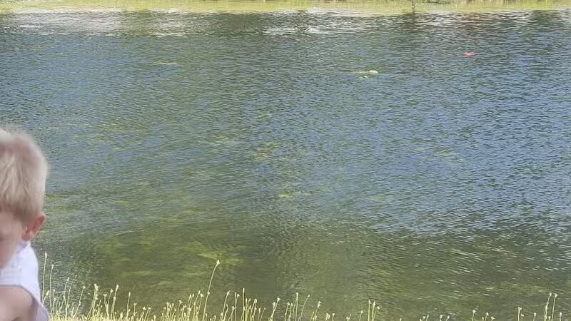 Stanley Jones Park - New Lebanon, OH