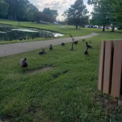 Stanley Jones Park - New Lebanon, OH