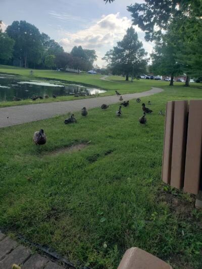 Stanley Jones Park - New Lebanon, OH