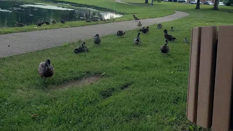 Stanley Jones Park - New Lebanon, OH