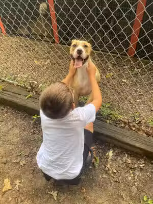 Perry County Dog Shelter - New Lexington, OH