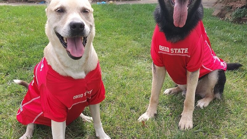 Perry County Dog Shelter - New Lexington, OH