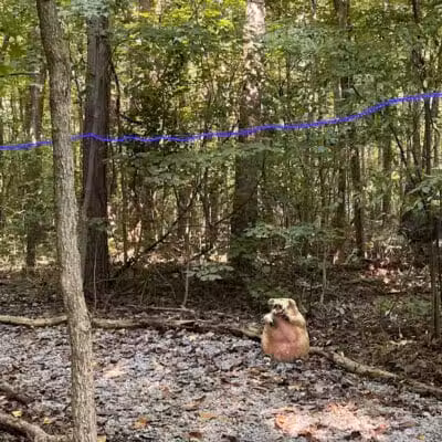 Freedom Valley Campgrounds - New London, OH