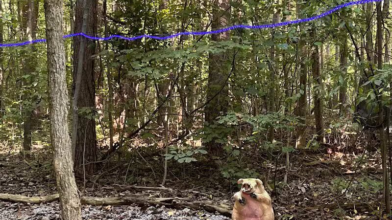 Freedom Valley Campgrounds - New London, OH