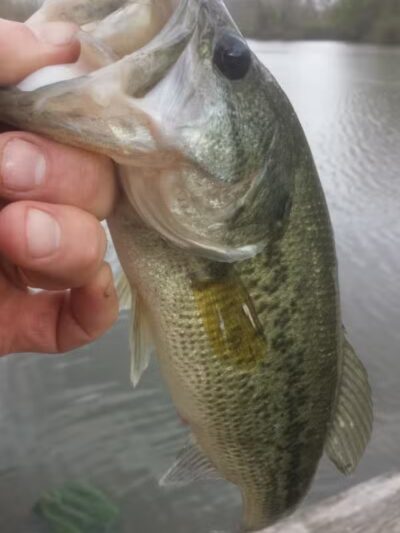 Indian Trail Campground - New London, OH