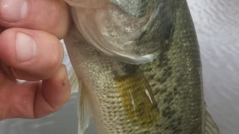 Indian Trail Campground - New London, OH