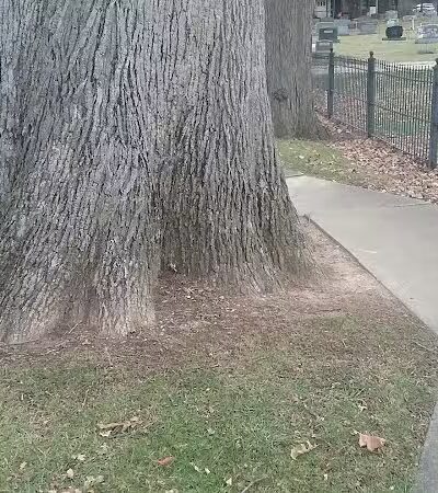 New London Recreation Park - New London, OH