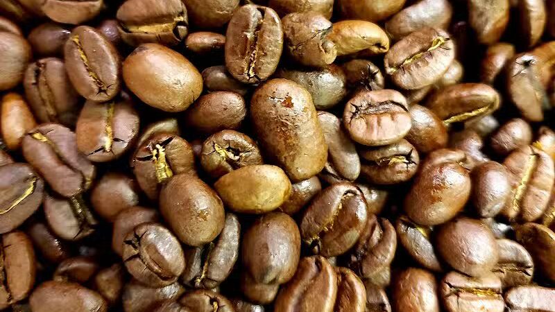 Your Daily Grind - New London, OH