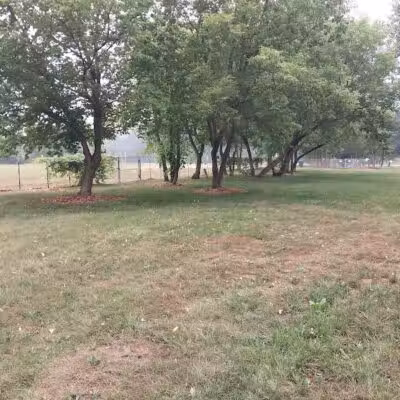 NL Jaycees Dog Park - New London, WI