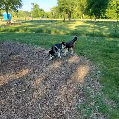 NL Jaycees Dog Park - New London, WI