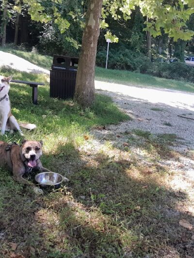 Crider Avenue Trail - New Philadelphia, OH